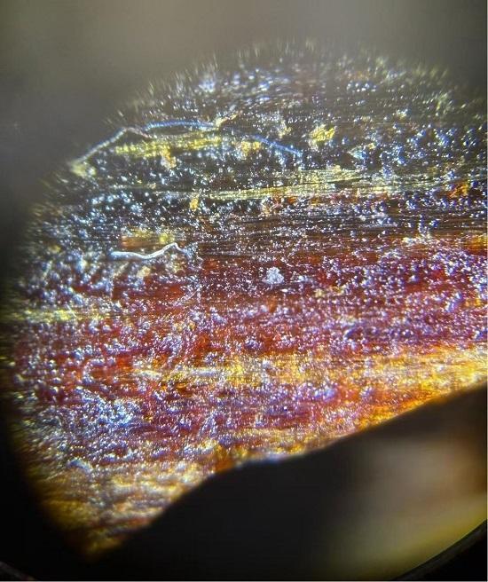 收藏级沉香怎么挑？熙香坞保真原材更有价值！