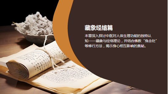藏象经络为根，禅医同调为魂 —— 沈惠平金胎掌养生智慧