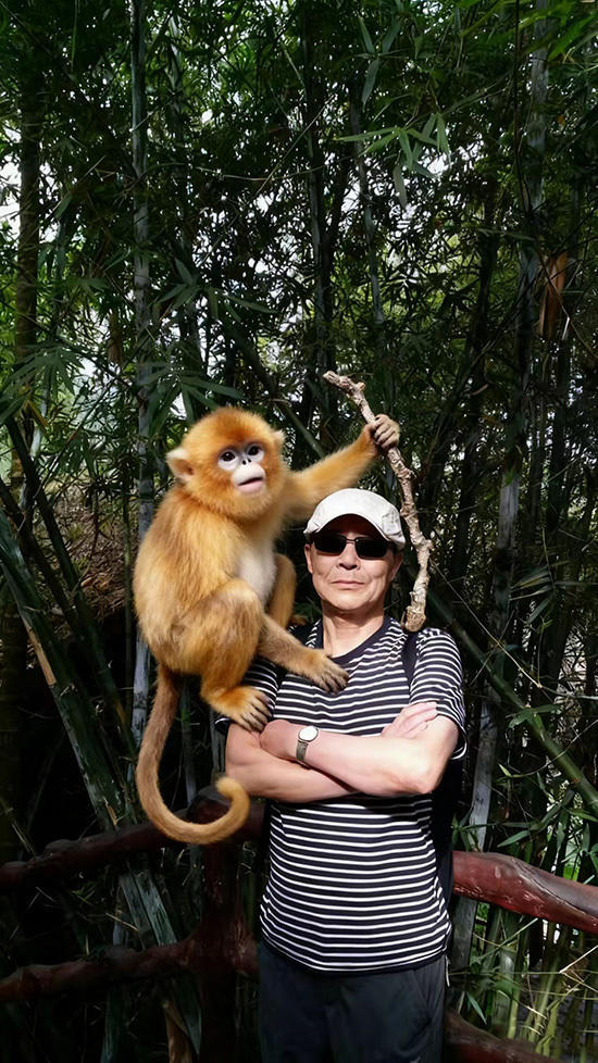 扎根关东，以猿为师_当代写意猿猴画家常志强
