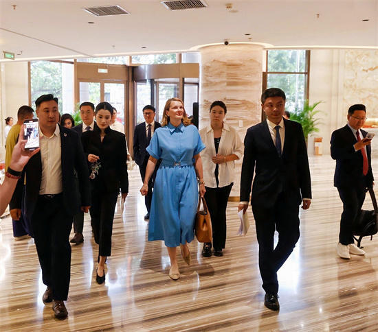 以艺为桥，遇见芬兰——画家宋芳与芬兰前总理的文化之约