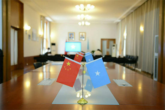 著名画家王凤携精英弟子走进索马里联邦大使馆