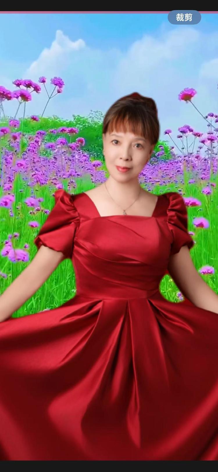 著名画家何梅——作品观赏