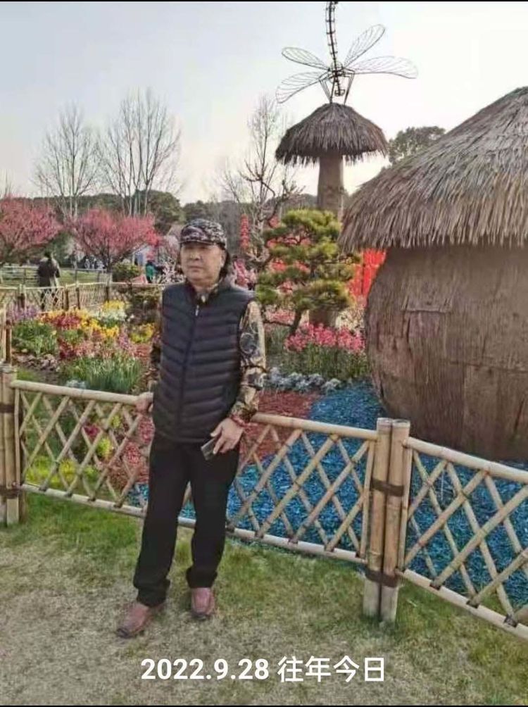 画家周志强——笔墨深邃 宁静飘逸