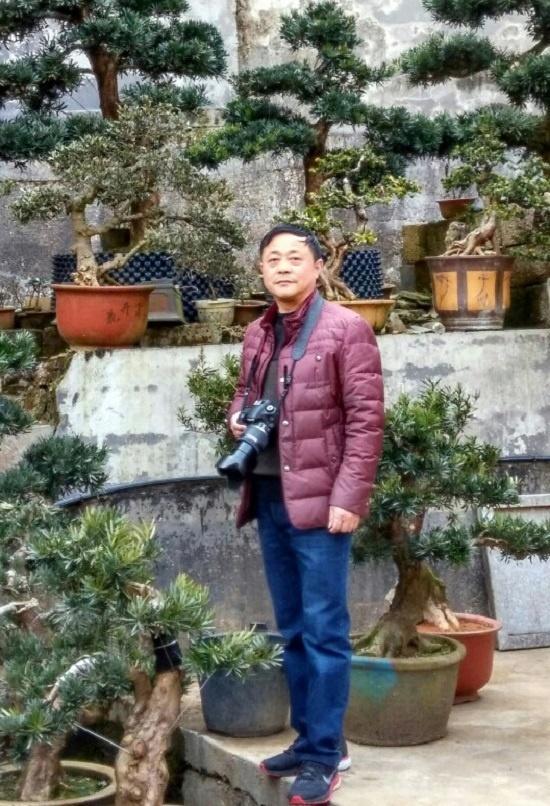 艺术家胡光华——作品赏析