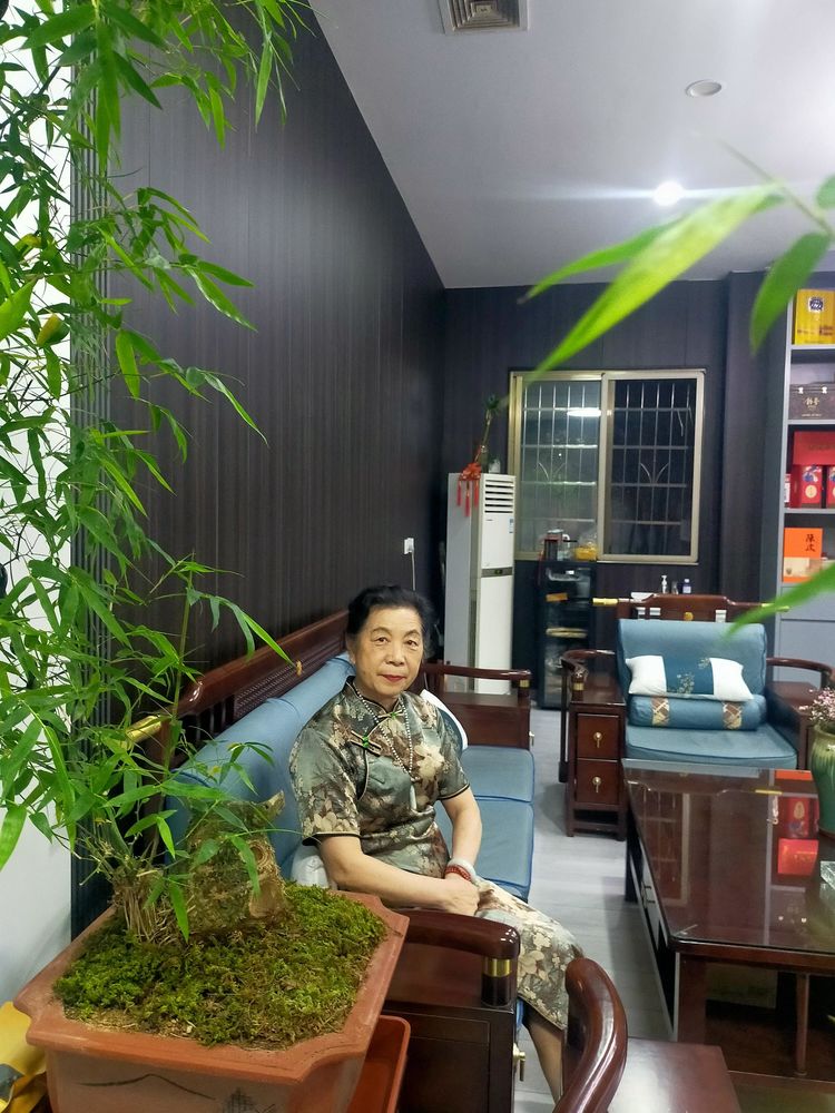 画家袁兴荣作品成功入选北京机场《中国文化艺术品代言》主题巡展