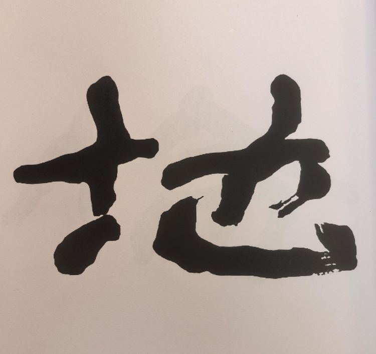金熙长谈临帖与创作：不能将所有的拙书都称丑书